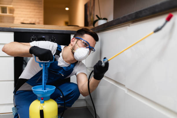 Best Insect Control  in West Brownsville, PA