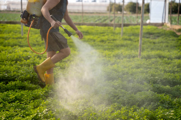 Reliable West Brownsville, PA Pest Control Solutions